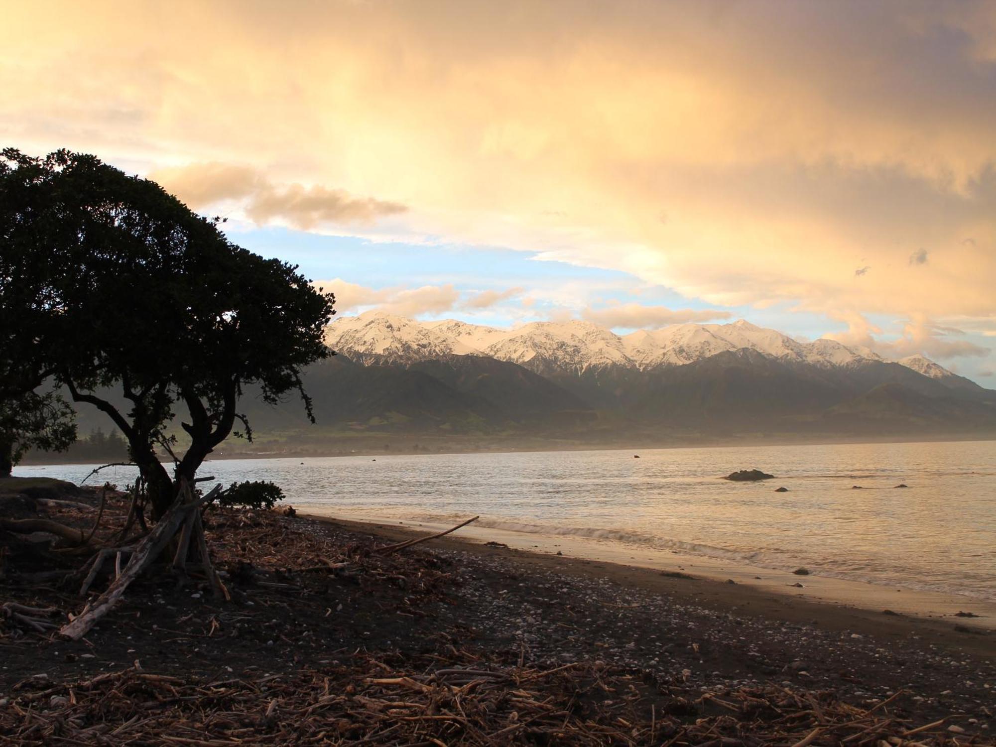 Inn The Bay Bed & Breakfast Kaikoura Luaran gambar